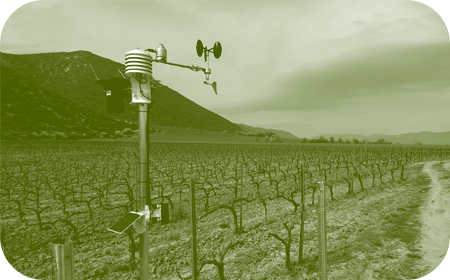 Products-Quhoma-2 #image_title